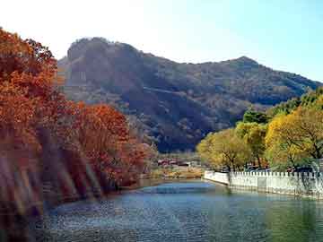 天天彩好彩天天免费，东阳别墅设计公司